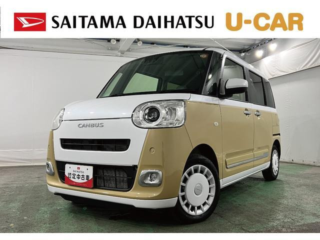 ムーヴキャンバス  ストライプス G