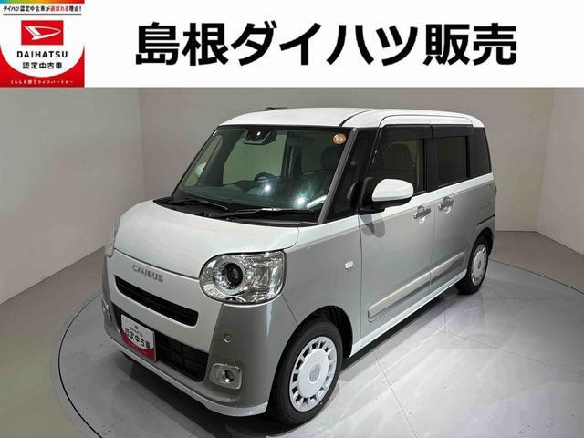 ムーヴキャンバス  ストライプス G