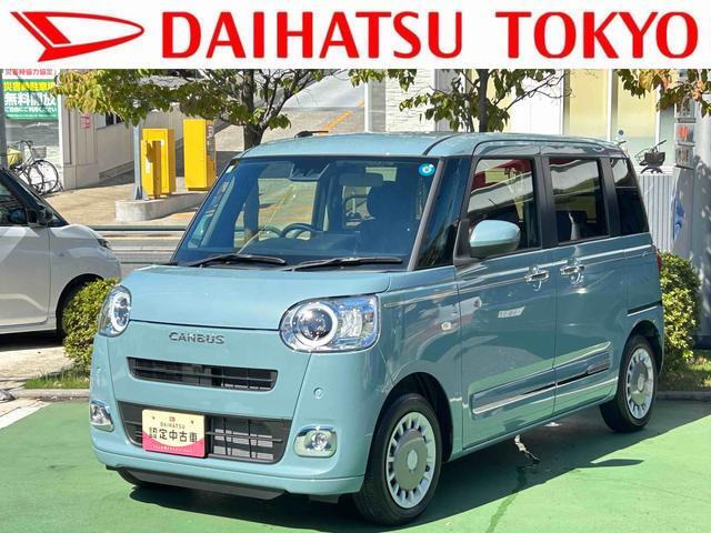 ムーヴキャンバス  セオリー G