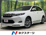 ムーンルーフ モデリスタフルエアロ BIG-X9型ナビ バックカメラ