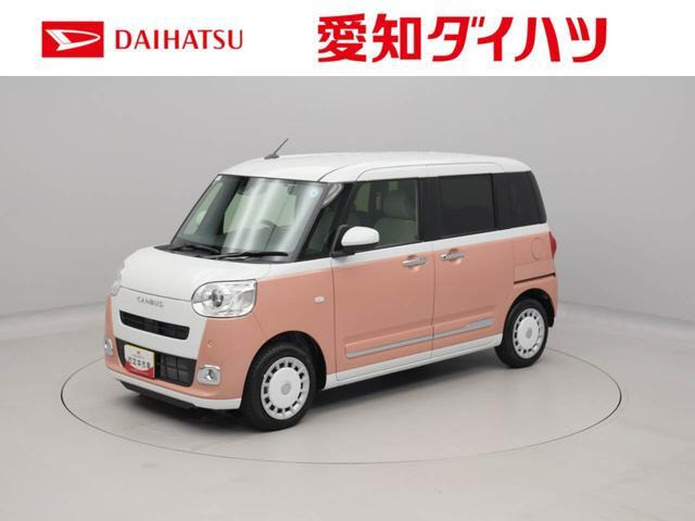 ムーヴキャンバス  ストライプス G