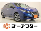 日産 リーフ アーバンクロム