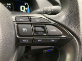前方の車との車間を設定し、スピードを上げたり緩めたりを自動で行ってくれる追尾式の「レーダークルーズ」。上級装備の一つです!高級車にしかつかない嬉しい機能です。