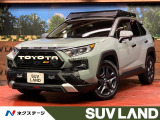 MODELLISTAノーズプロテクター ルーフラック 純正ディスプレイ