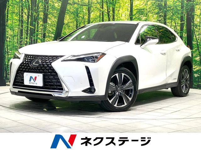 UX 250h バージョンL 