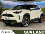 全周囲カメラ ブラインドスポットモニター AC100V レーダークルーズ