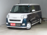 ムーヴキャンバス  ストライプス G