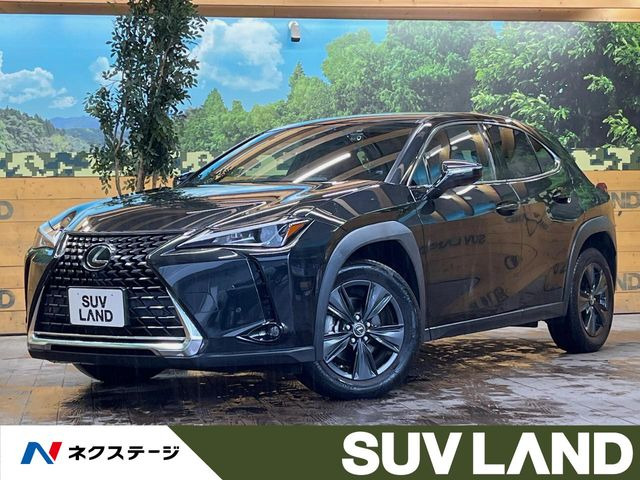 UX 200 バージョンC