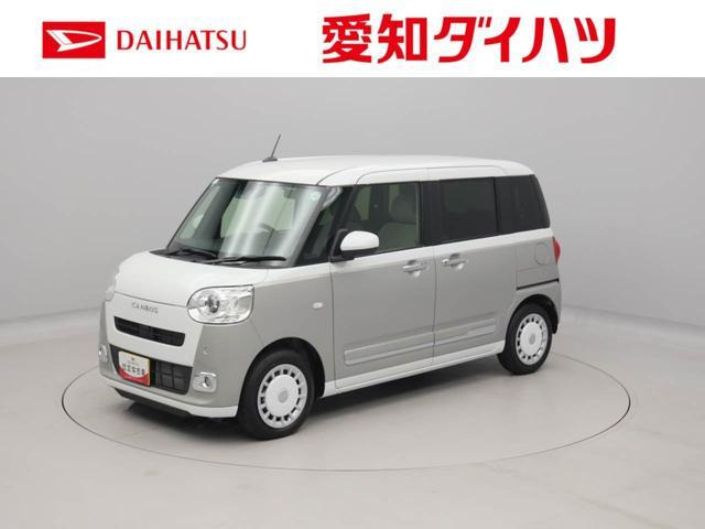 ムーヴキャンバス  ストライプス G