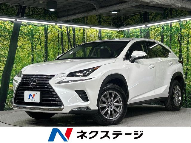 NX 300