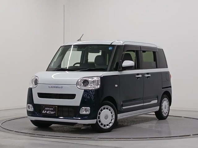 ムーヴキャンバス  ストライプス G