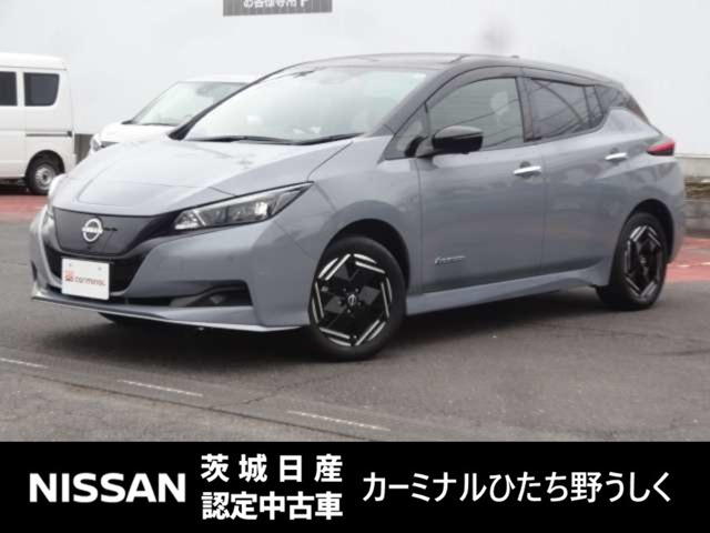リーフ e+ X 