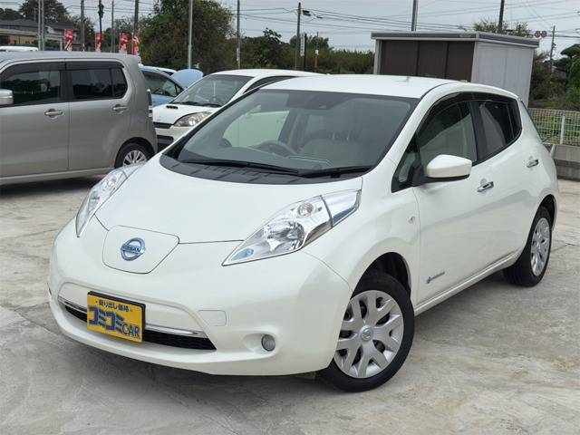 リーフ 30kWh X