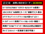 アルファード 2.5 S Cパッケージ 10インチナビ リアモニター モデリスタエアロ