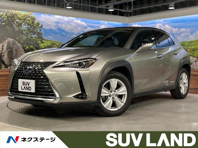 UX 250h バージョンC