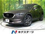 純正ナビ 全周囲カメラ 衝突軽減 ETC パワーバックドア 禁煙車