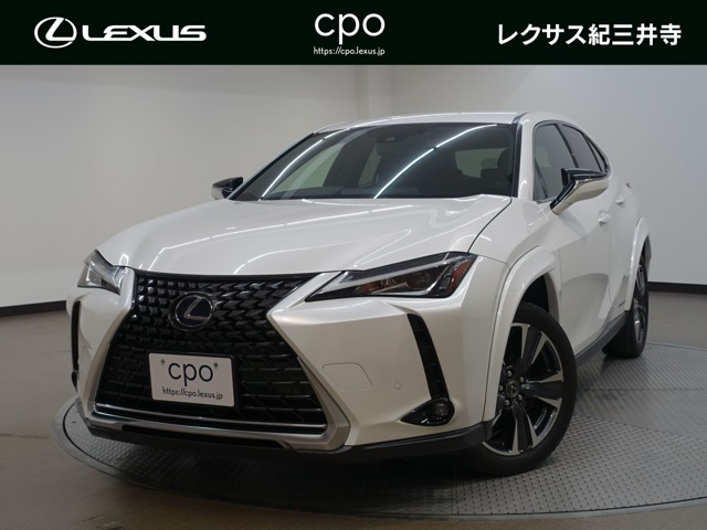 UX 250h バージョンC 