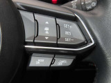 前車追従機能付きのレーダークルーズを備えています。自動で車間距離を調整してくれますので、アクセル操作の疲労軽減に繋がります。特に長距離を帰省される方にはお奨めです。