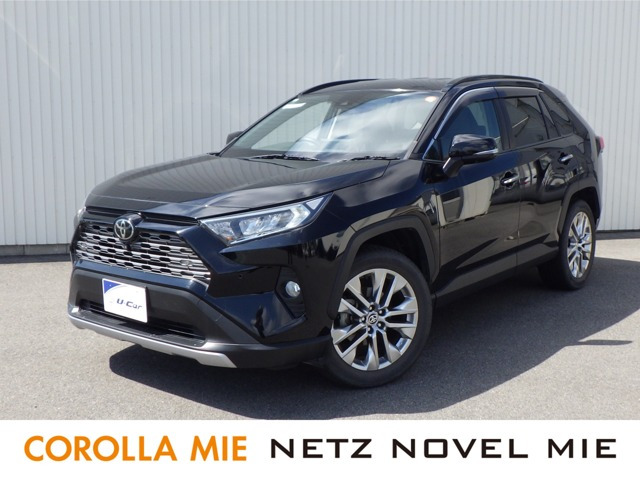 RAV4  2.0 G Zパッケージ 4WD