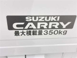 この量まで車に積載することができます。 沢山、積載できるので色んな使い方が出来ちゃいますね。