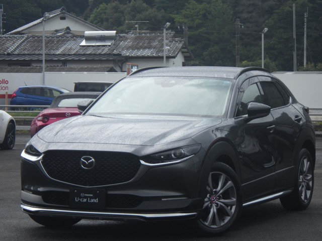CX-30 2.0 20S Lパッケージ