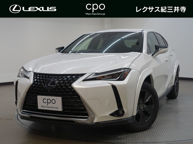 UX 250h ブラウン エディション
