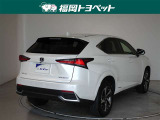 NX 300h スパイス&シック