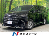 モデリスタフルエアロ 13.2型有機ELフリップダウン 両側電動ドア
