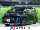 ガラスルーフ 両側電動ドア 後席モニター 全周囲カメラ 100V電源 衝