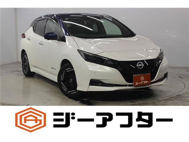 リーフ X 