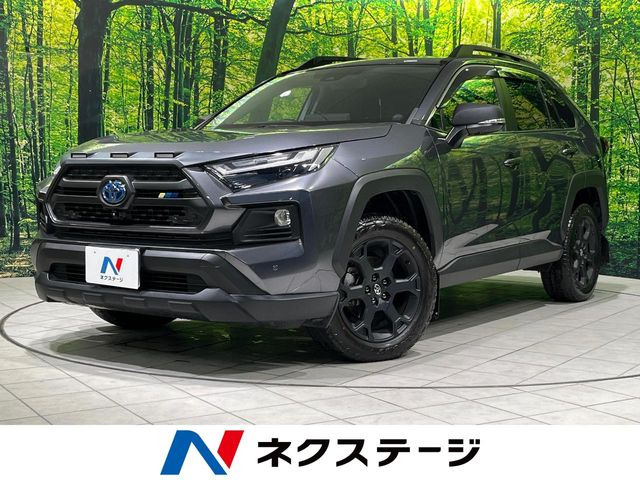 RAV4 2.5 ハイブリッド アドベンチャー オフロードパッケージ II E-Four 4WD