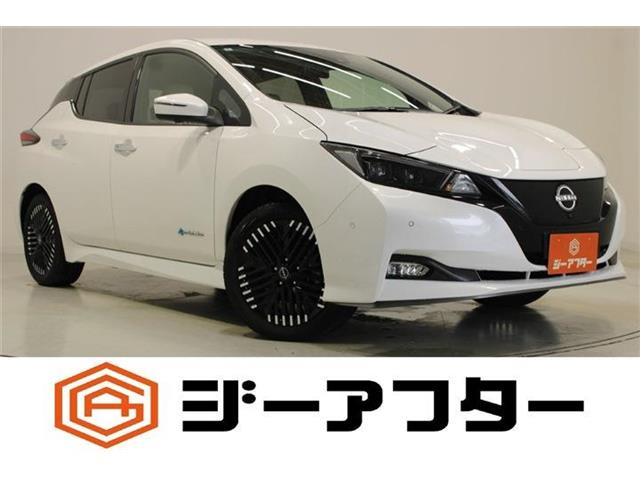 リーフ e+ G BOSEサウンドシステム 禁煙車