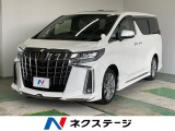 サンルーフ フルエアロ 両側電動ドア 後席モニター バックカメラ
