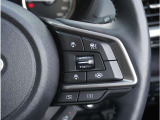 各種スイッチ。運転席から操作設定可能です。