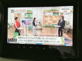 停車時に、お好きな番組を大画面で楽しめます。移動時間を有効活用し、快適なひとときを過ごすことができます。