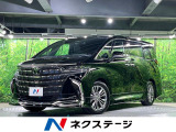 フルエアロ 両側電動ドア 純正SDナビ 後席モニター 全周囲カメラ