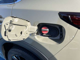 新車市場forSUV                TEL:0852-60-0880