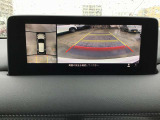 駐車の時バックカメラは便利で安心ですね、