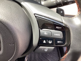 先進の安全運転支援システム、HondaSENSINGのスイッチ類。