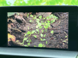 高画質のモニターで、様々な映像コンテンツをお楽しみいただけます。停車時に映画やドラマを鑑賞するのもおすすめです。