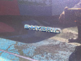 S-HYBRID