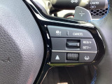 先進の安全運転支援システム、HondaSENSINGのスイッチ類。