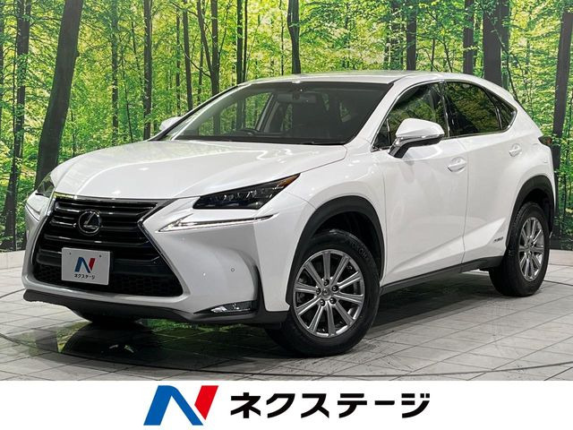 NX 300h Iパッケージ 