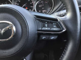 レーダークルーズコントロールを装備。アクセルやブレーキを操作しなくても、自動で先行車との車間距離を保ち追従走行できます。長距離や高速道路を運転する際に、ドライバーへの負担を軽減します。