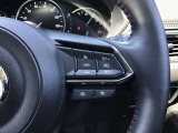 ハンドルの右側に追従機能の操作スイッチが付いています。高速道路などで、車が前の車との車間距離と速度を保ち追従していきます。高速道路でもアクセルを踏まずに運転することができるので疲労軽減できます。