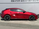 ショールーム内にはキッズコーナーも完備!ぞうさんの滑り台はキッズに人気のスポットです★