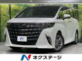 ガラスルーフ 両側電動スライドドア 純正14インチナビ 後席モニター