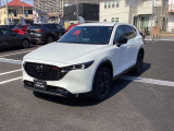 通常のCX-5はバンパー下部とタイヤのアーチモールの黒い部分はザラザラした樹脂パーツですが、Sports Appearanceは光沢のブラックを採用しております。一目で違いが分かります!