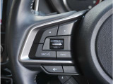 各種スイッチ。運転席から操作設定可能です。