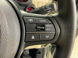 先進の安全運転支援システム、HondaSENSINGのスイッチ類。